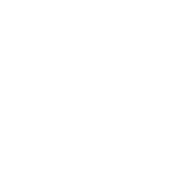 A heavily faded image of a flower graphic